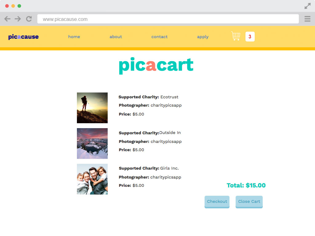 picacause cart page